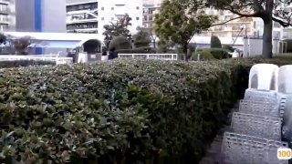 香火 电视剧黑丝高跟调教男奴